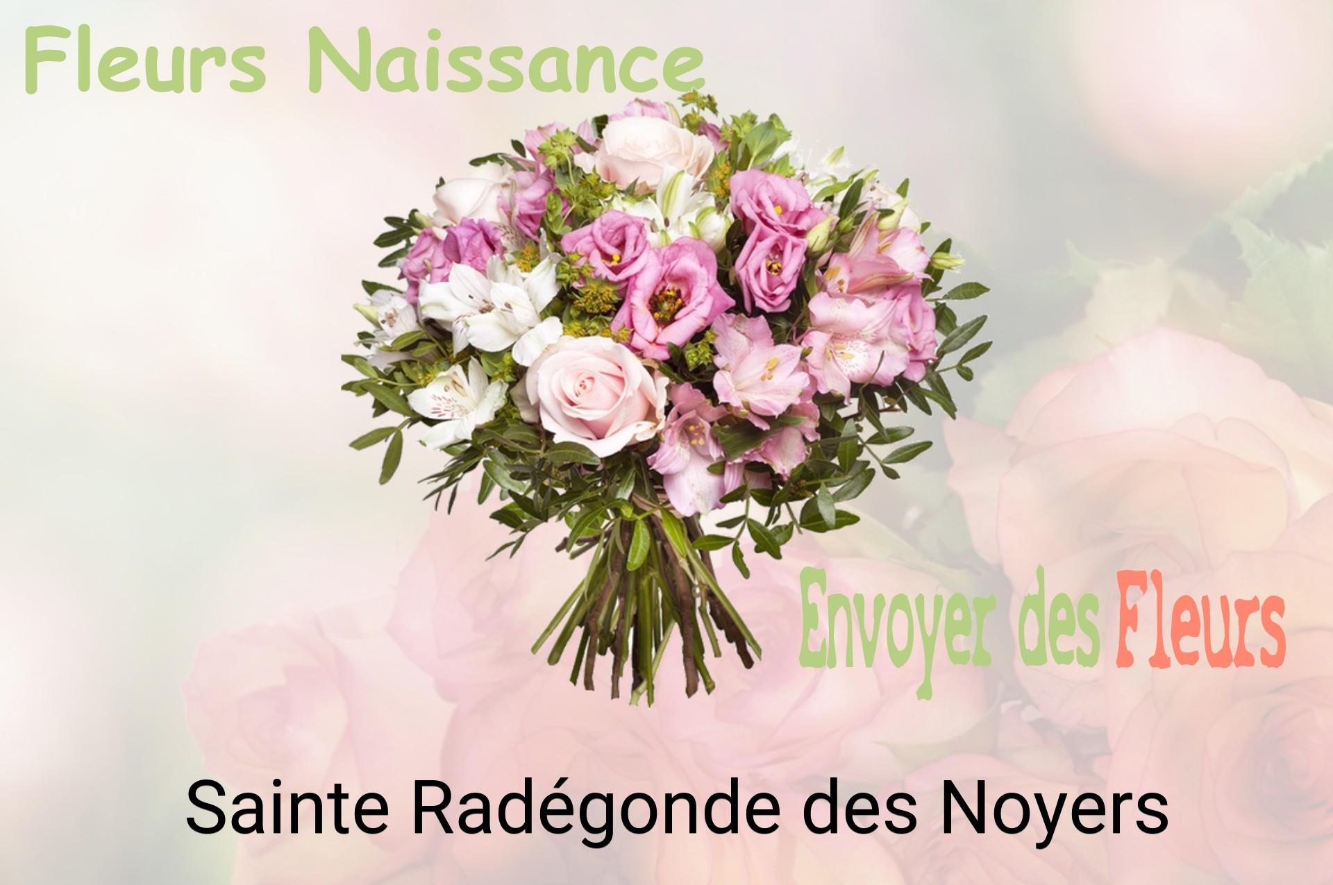 Bouquet de fleurs de naissance livré à Sainte-Radégonde-des-Noyers